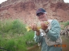  Freemont River Brown Trout         